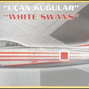 1/72 NA F-86E Sabre Avcı Uçağı Maketi, PM Model0208