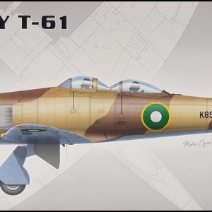 1/72 Hawker Sea Fury T-20 Avcı-Eğitim Uçağı Maketi, PM Model0212