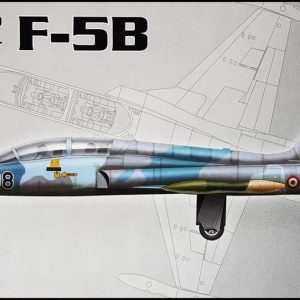 1/72 Northrop F-5B Eğitim Uçağı Maketi, PM Model0229