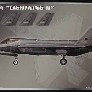 1/72 F-35A ( Lightning II ) Savaş Uçağı Maketi, PM Model0601