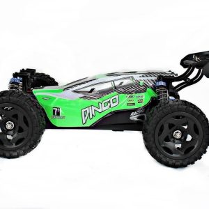 1/16 4WD Off Road Buggy Yeşil Fırçasız Elektirikli RC Araba, Remo 1655