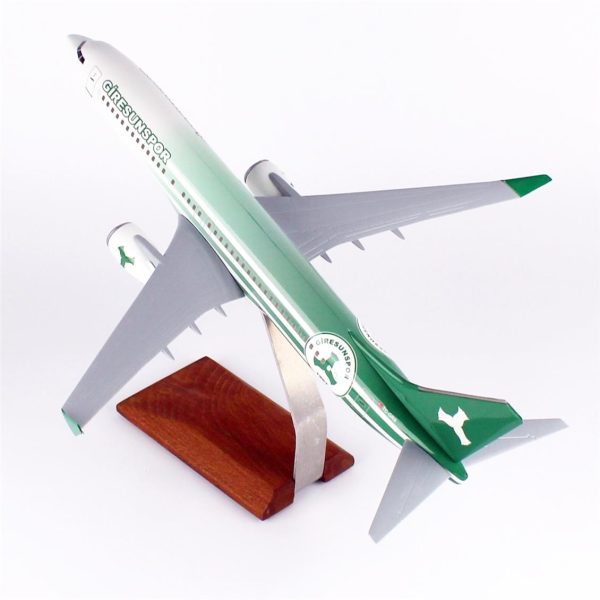 1/100 Giresun Spor Logolu B737-800 Yolcu Uçağı Modeli - Görsel 3