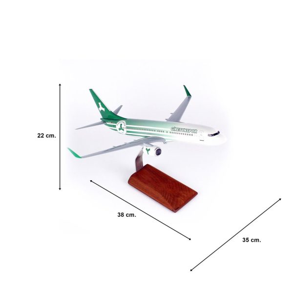 1/100 Giresun Spor Logolu B737-800 Yolcu Uçağı Modeli - Görsel 5