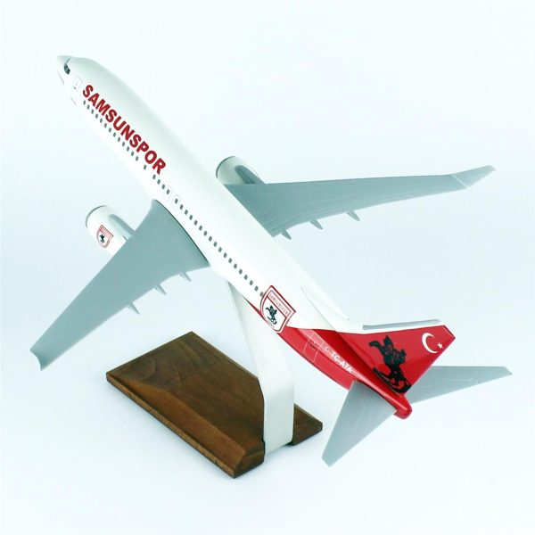 1/100 Samsun Spor Logolu B737-800 Yolcu Uçağı Modeli - Görsel 3