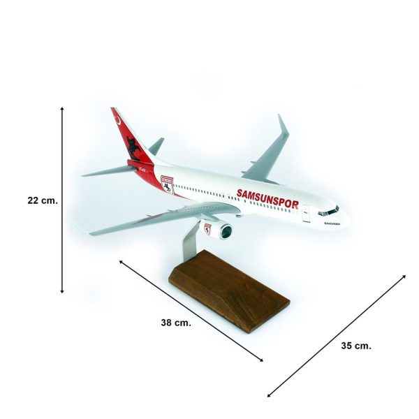 1/100 Samsun Spor Logolu B737-800 Yolcu Uçağı Modeli - Görsel 5
