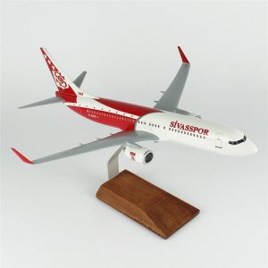 1/100 Sivas Spor B737-800 Yolcu Uçağı Modeli