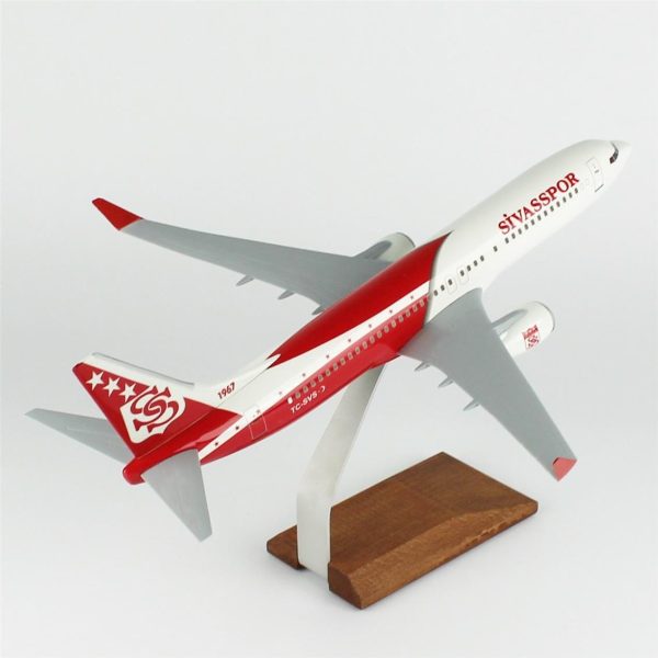 1/100 Sivas Spor B737-800 Yolcu Uçağı Modeli - Görsel 4