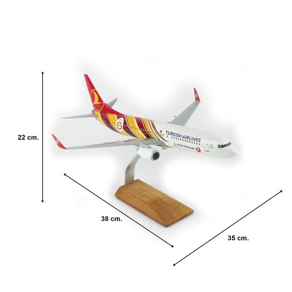 1/100 Galatasaray Spor Klübü B737-800 Yolcu Uçağı Modeli - Görsel 5