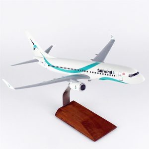 1/100 Tailwind Business B737-800 Yolcu Uçağı Modeli
