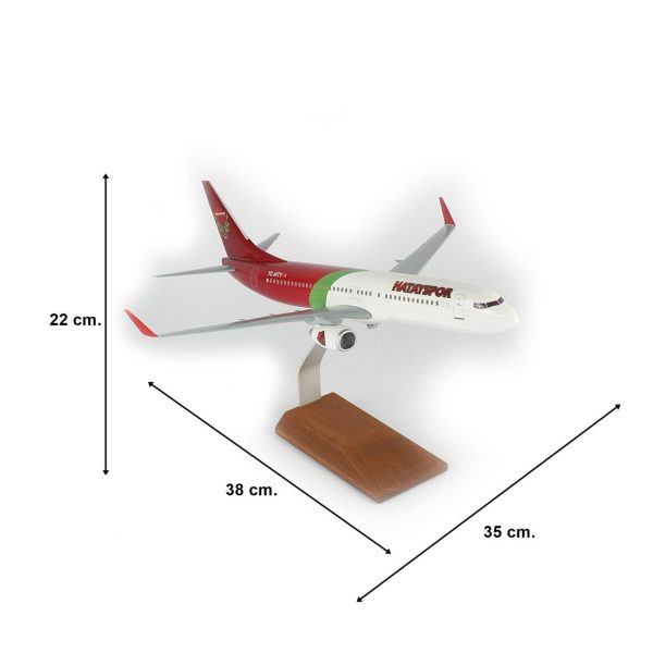 1/100 Hatay Spor Logolu B737-800 Yolcu Uçağı Modeli - Görsel 5