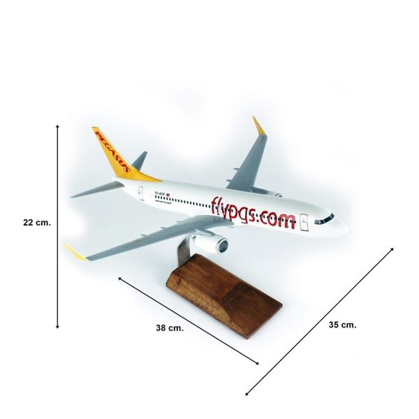 1/100 Pegasus B737-800 Yolcu Uçağı Modeli - Görsel 5
