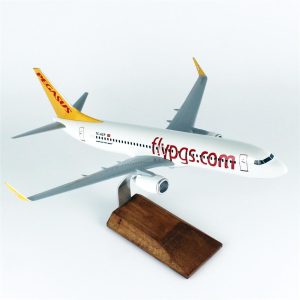 1/100 Pegasus B737-800 Yolcu Uçağı Modeli