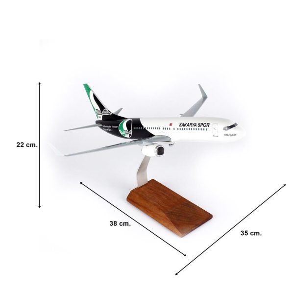 1/100 Sakarya Spor B737-800 Yolcu Uçağı Modeli - Görsel 5