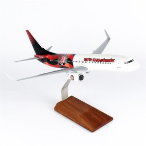 1/100 Fatih Karagümrük Spor B737-800 Yolcu Uçağı Modeli