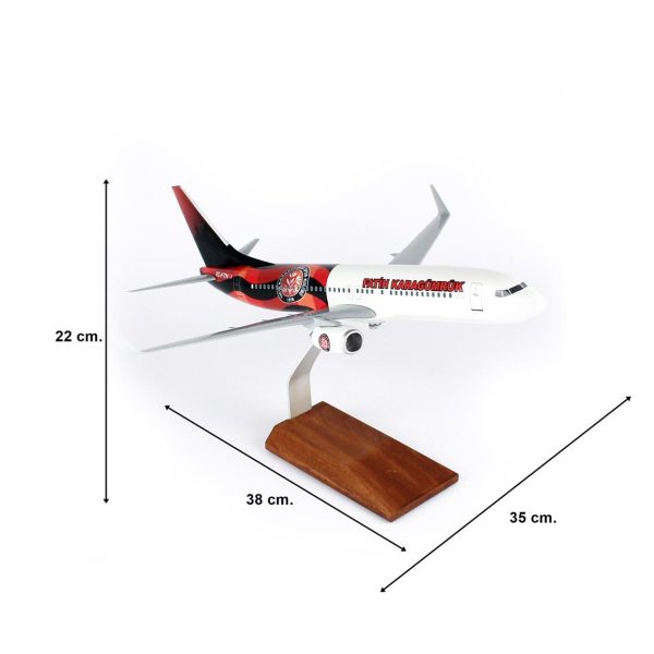 1/100 Fatih Karagümrük Spor B737-800 Yolcu Uçağı Modeli - Görsel 5