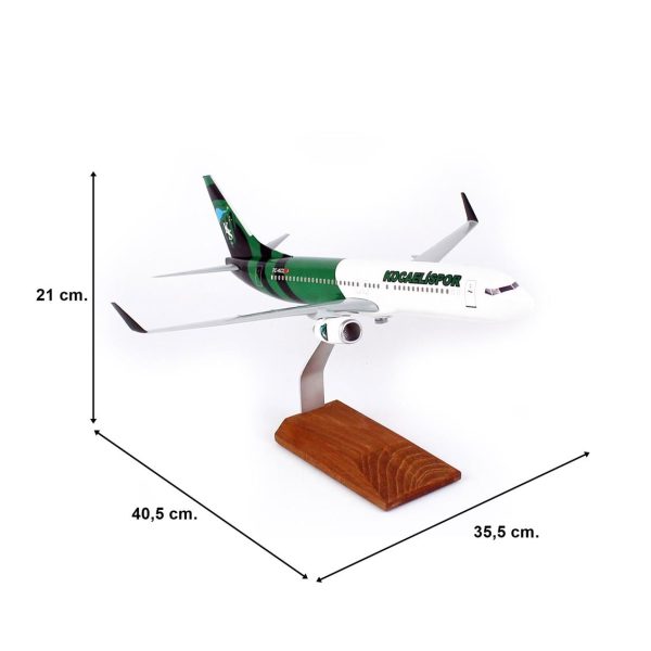 1/100 Kocaeli Spor Logolu B737-800 Yolcu Uçağı Modeli - Görsel 5