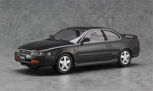 Hasegawa 20667