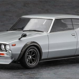Hasegawa 20669