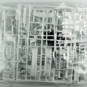 Hasegawa 20676