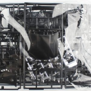 Hasegawa 20684
