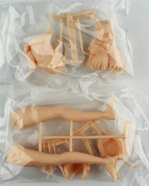 1/12 12 Egg Girls Collection 41 (Sasha Ilyushina) (Bikini) Resin maketi, Hasegawa SP580 52740 - Görsel 4