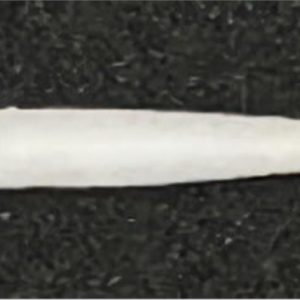 Ucu Pamuklu Plastik Çubuklar