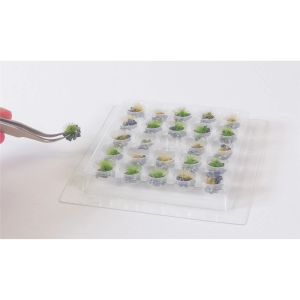 25 Adet Çiçek Açan Çimen Kümeleri Diorama Malzemesi