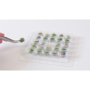 25 Adet Kurumuş Çimen Kümeleri Diorama Malzemesi