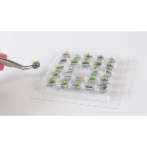 25 Adet Taşlı Çimen Kümeleri-A Diorama Malzemesi