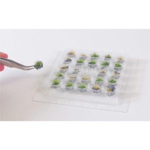 25 Adet Taşlı Çimen Kümeleri-B Diorama Malzemesi