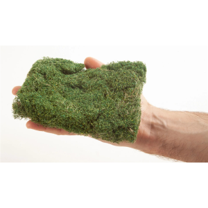 20x23 cm. Koyu Yeşil Çalı Dokulu Folyaj Diorama Malzemesi