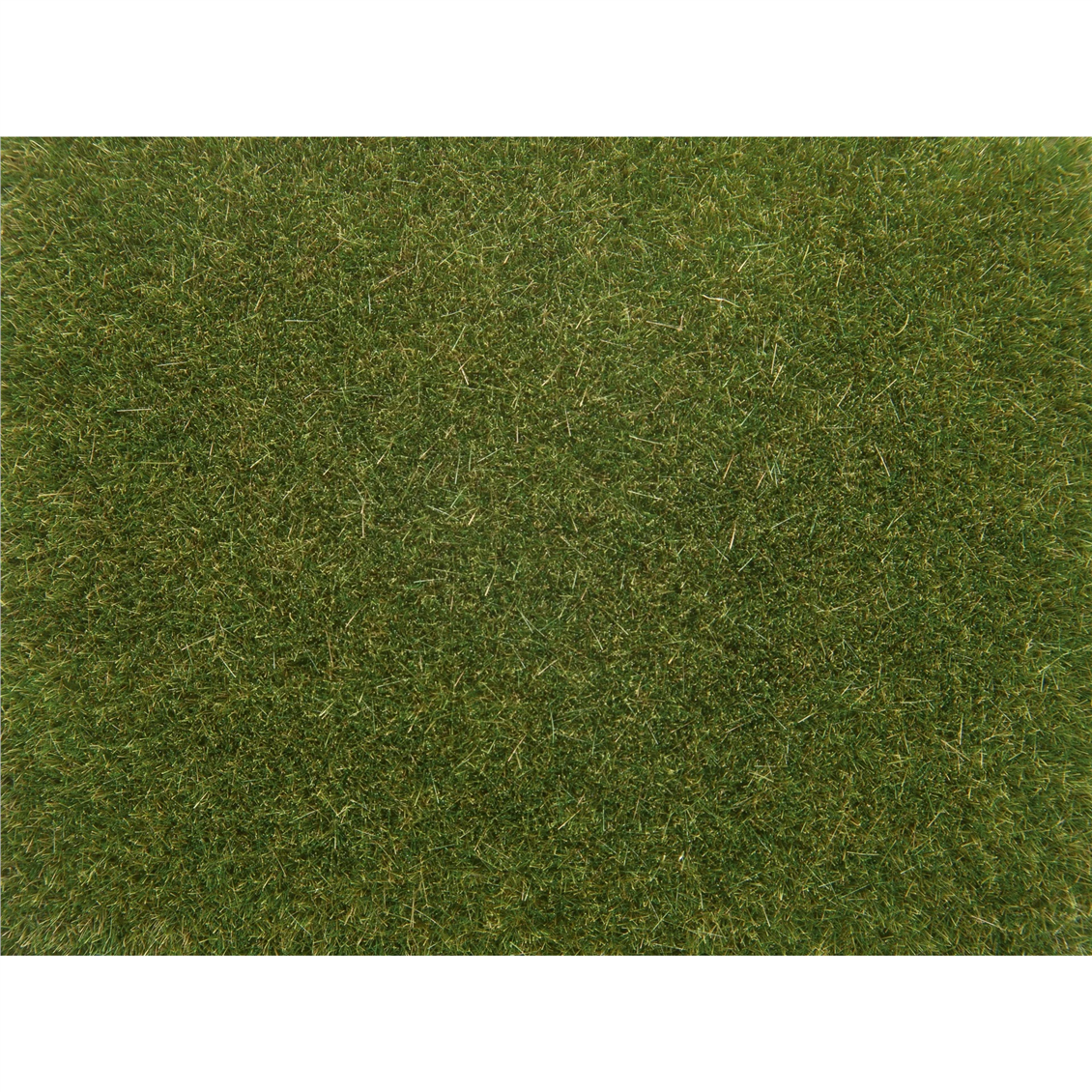 Yeşil Statik Çayır Dokusu Diorama Malzemesi