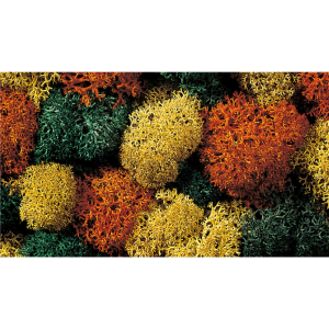 Sonbahar Renkleri Liken Diorama Malzemesi